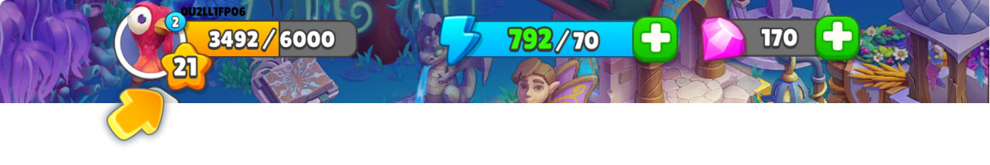 Experience.png