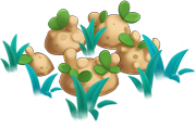 obj_cons_wild_potatoes (1).png