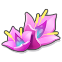 Violacia.png