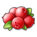 Turkey Berry.png