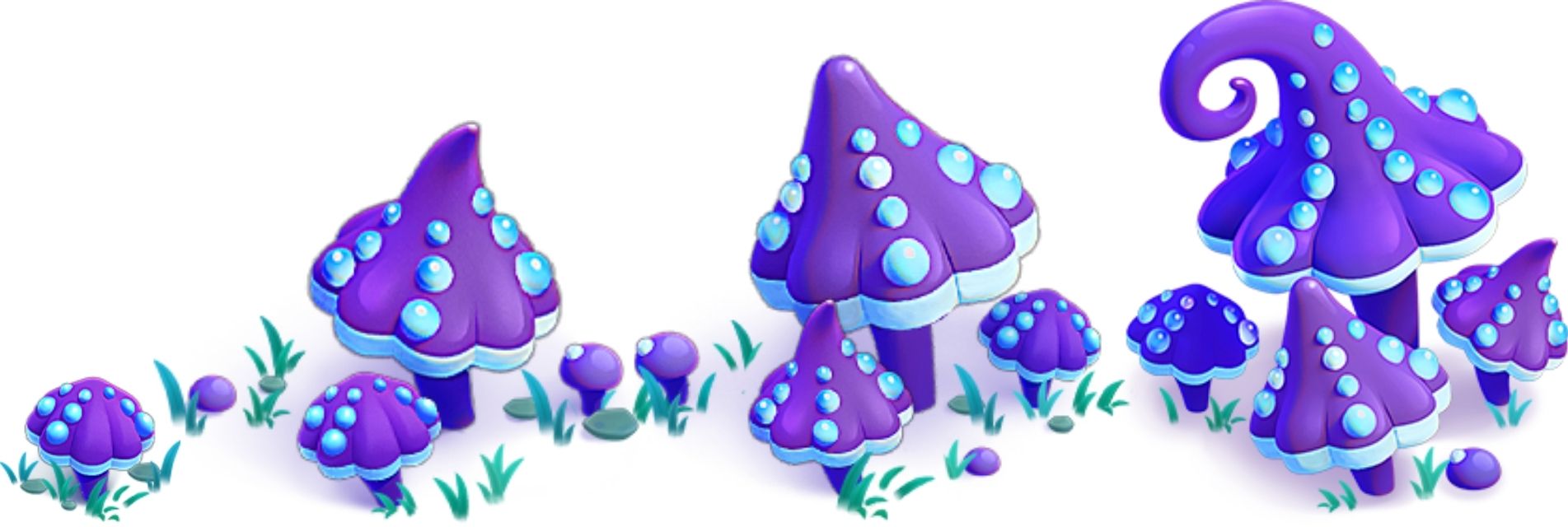 Mashrooms.jpg